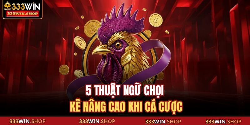 5 thuật ngữ chọi kê nâng cao khi cá cược