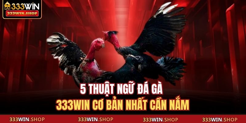 5 thuật ngữ đá gà 333WIN cơ bản nhất cần nắm