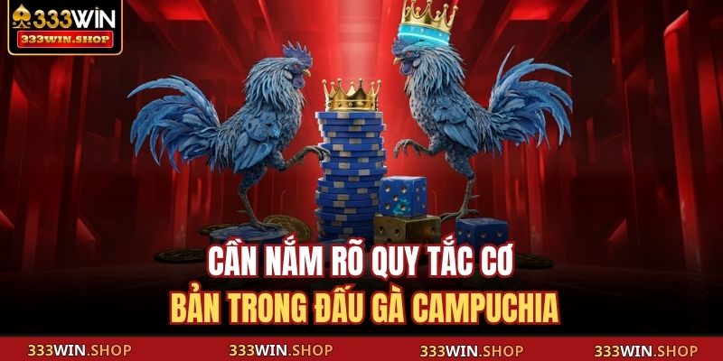 Cần nắm rõ quy tắc cơ bản trong đấu gà Campuchia