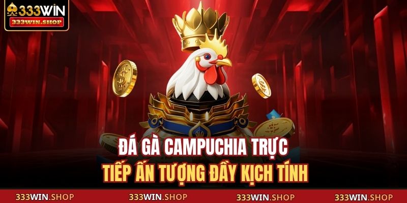 Đá gà Campuchia trực tiếp ấn tượng đầy kịch tính