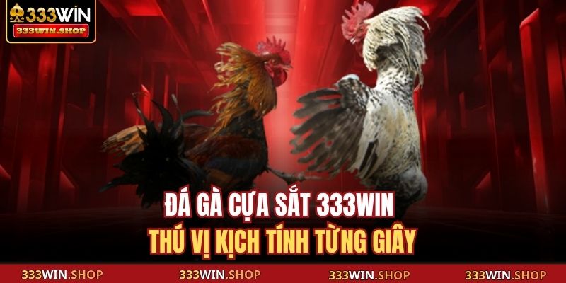 Đá gà cựa sắt 333WIN thú vị kịch tính từng giây