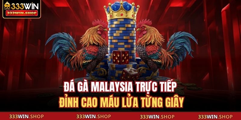 Đá gà Malaysia trực tiếp đỉnh cao máu lửa từng giây
