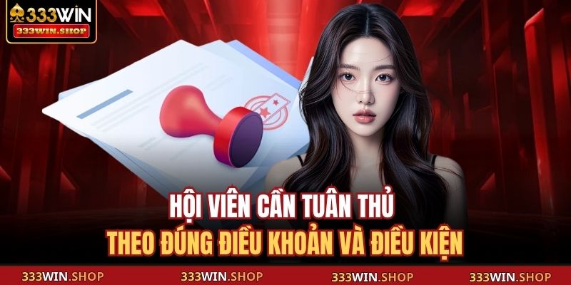 Điều khoản và Điều kiện 333WIN 2 Hội viên cần tuân thủ theo đúng điều khoản và điều kiện
