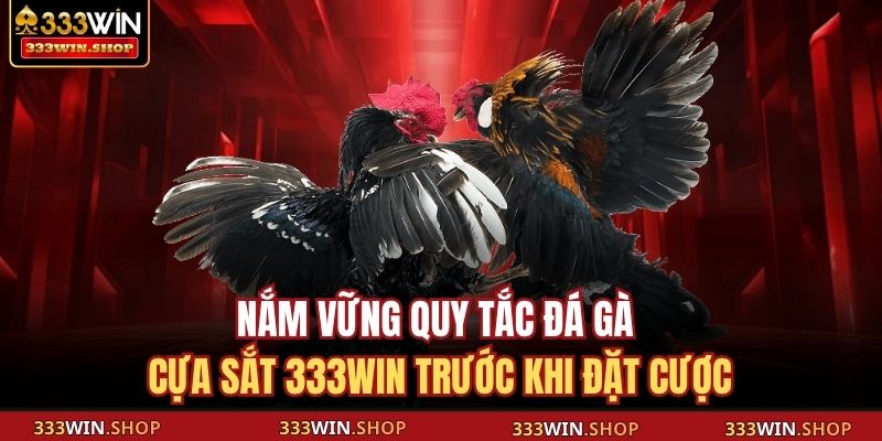 Nắm vững quy tắc đá gà cựa sắt 333WIN trước khi đặt cược
