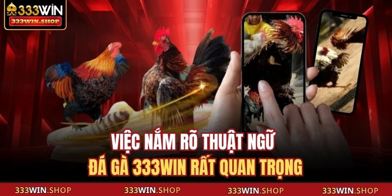 Việc nắm rõ thuật ngữ đá gà 333WIN rất quan trọng